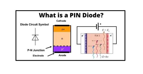 pin p o r n|what is a pin.